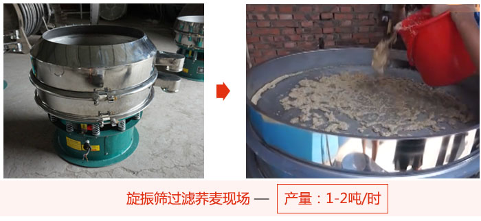 旋振篩過濾蕎麥現(xiàn)場，產(chǎn)量可達(dá)2噸每小時。